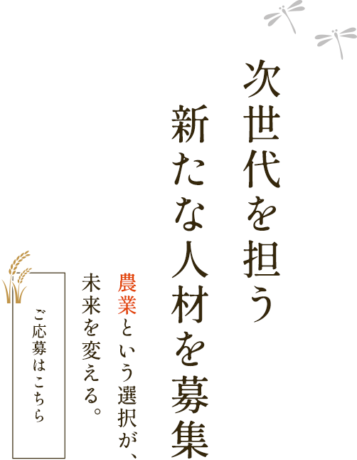 次世代を担う新たな人材を募集