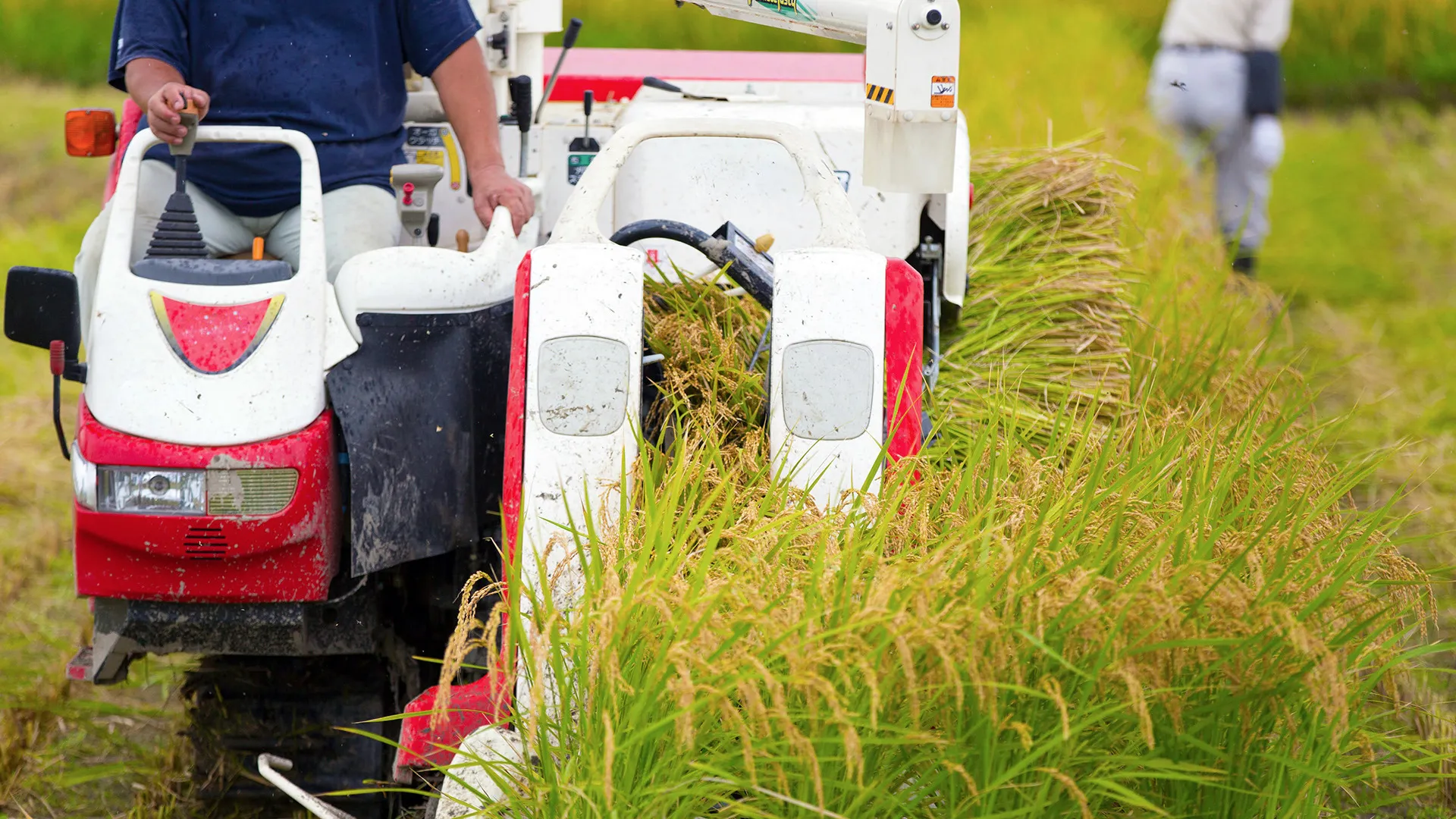 株式会社光国農園